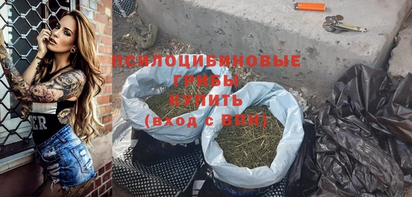 спайс Корсаков