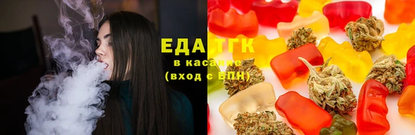 спайс Корсаков