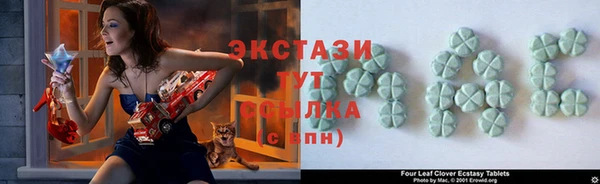 шишки Костерёво