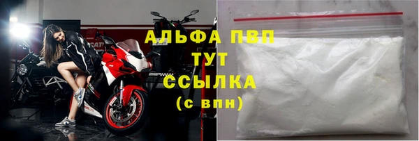 спайс Корсаков