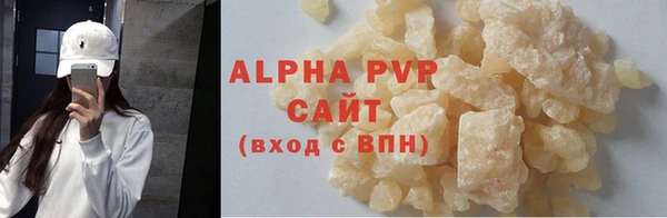 спайс Корсаков