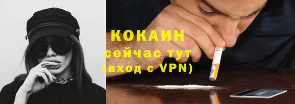 спайс Корсаков