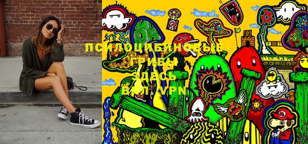 прущая мука Козловка