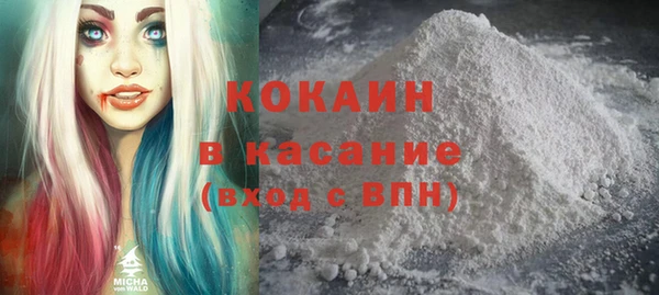 шишки Костерёво