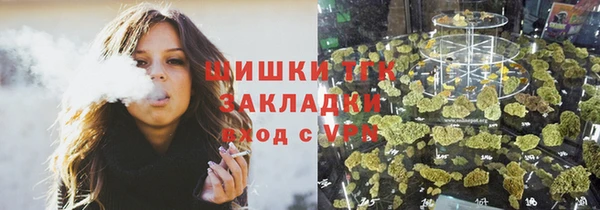 шишки Костерёво