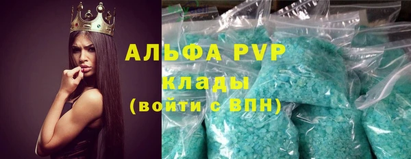 спайс Корсаков