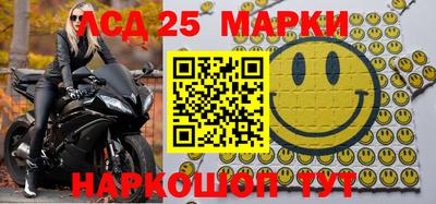 a pvp Кингисепп