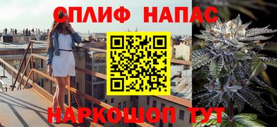 СК Кимры