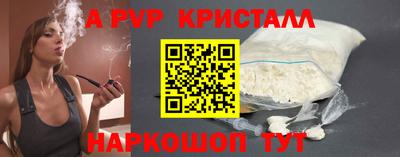 a pvp Кингисепп