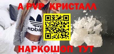 a pvp Кингисепп