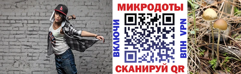 Галлюциногенные грибы ЛСД где найти Усть-Джегута