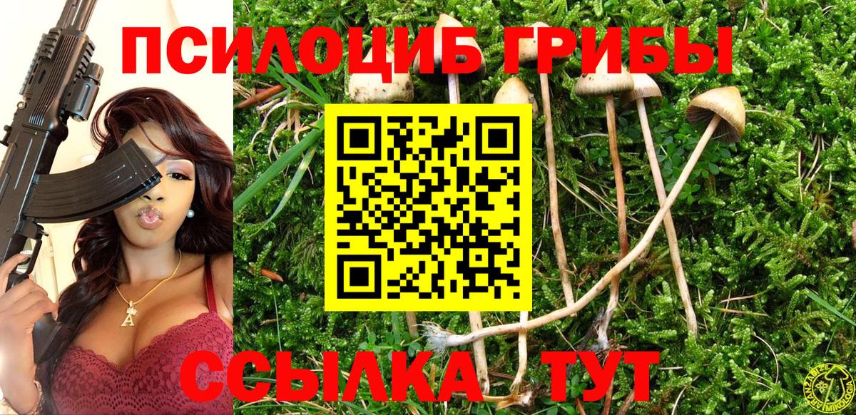Галлюциногенные грибы прущие грибы Усть-Джегута