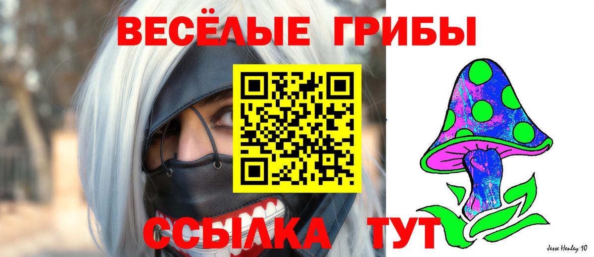 Усть-Джегута  Галлюциногенные грибы Magic Shrooms  Вход с VPN 